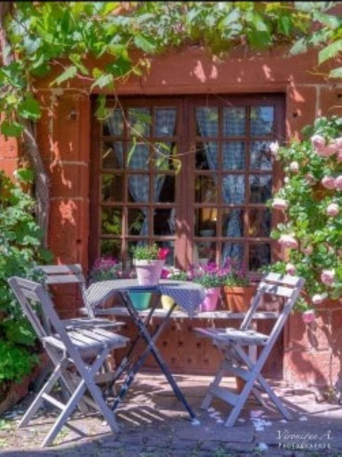 Bed and Breakfast Le Parc Des 4 Saisons Corrèze Zewnętrze zdjęcie